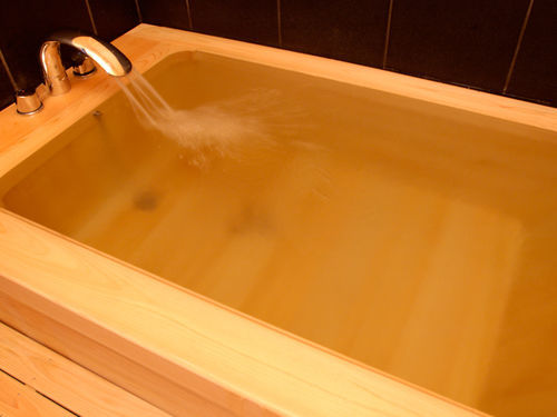 Showaen Ryokan 5*
