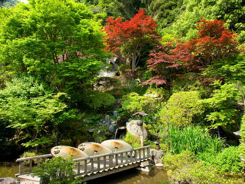 Showaen 5* Beppu